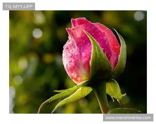 掌上老虎机单机游戏手机版大满贯玩法攻略助你轻松突破高分极限 掌上老虎机单机游戏手机版大满贯玩法攻略助你轻松突破高分极限