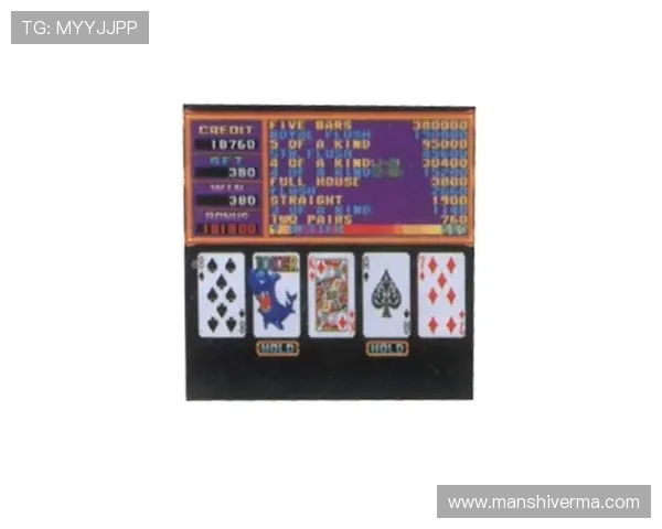 不同类型的老虎机平台有哪些，适合新手和老玩家的多样化选择指南