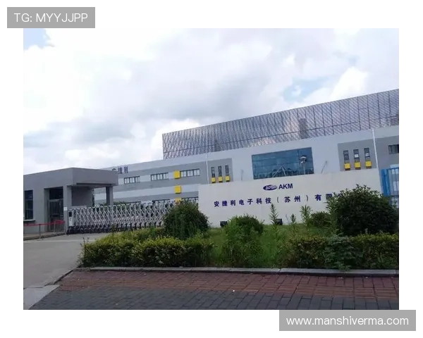 传奇电子香港有限公司：详细介绍公司在香港电子娱乐行业中的产品线与服务特色